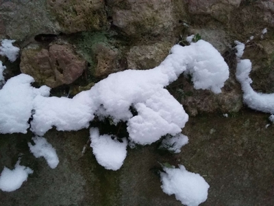 Créature de neige sur le mur 1